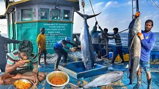 UNBELIEVABLE! Day 3 Big Catch Explosion | Fisherman Life at Sea & Fresh Fish Cooking! | Day-03