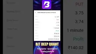 bit QUANT 💯% profit proof