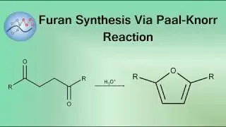 Furan Synthesis Mechanism Via Paal-Knorr Reaction | Organic Chemistry