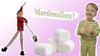 Пакости Эльфа. День 17 Elf on the shelf. Day 17