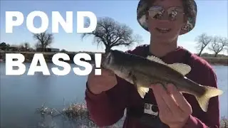 NM Pond Bass @ Ft. Sumner. -Prespawn Techniques