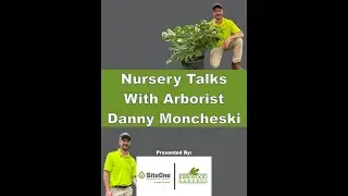 Silver Linden - Nursery Talks with Arborist Danny Moncheski