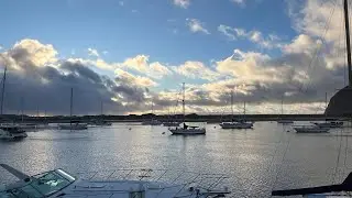 tide goes out, all the birds float by