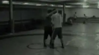 Siavash wrestling monkey flip one foot.flv