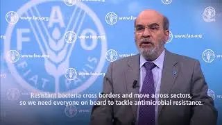 FAO Director-General video message on steps in tackling antimicrobial resistance