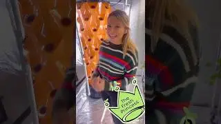 GERMINATING PARSLEY 🌿🧡 #Aeroponics #Hydroponics #TheFreshPrincess #IndoorGarden #GrowYourOwn