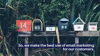 Grow Your Business By The Best Email Marketing Services In India