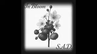 In Bloom - Try Again