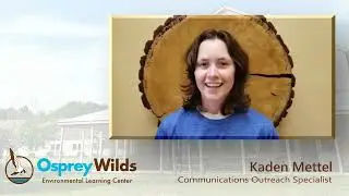 Meet our Staff!