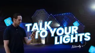 Talk to Your Lights