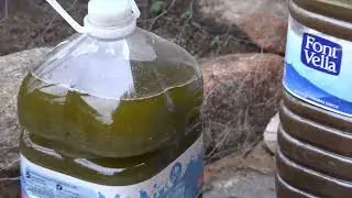 Decantando Aceite