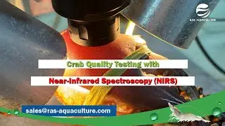 Crab Quality Testing with Near-Infrared Spectroscopy (NIRS)