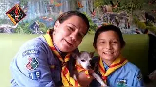 Lo MEJOR de la cuarentena Grupo XV WIKIR