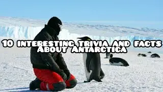 10 Interesting Trivia and Facts about Antarctica