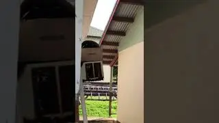 Sparrow's reaction to sound of danger