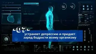 Аппликаторы Ляпко для самостоятельной иглорефлексотерапии.