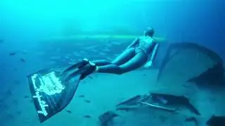Freediving - Submarine Safaris Lanzarote