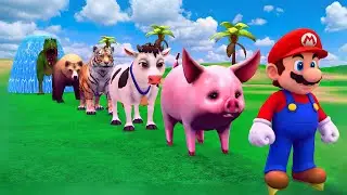 Long Slide Game with Cow Elephant Gorilla Hippopotamus Tiger 3d Animal Game Funny 3d Animals