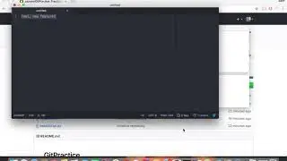 Git Feature Branching
