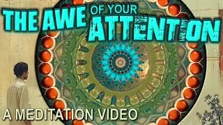 THE AWE OF YOUR ATTENTION: A Meditation video