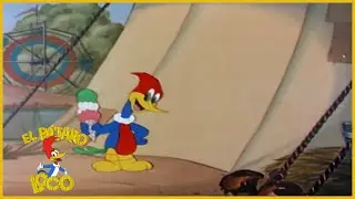 El Pájaro Loco Episodio Completo | La acróbata mareada | Dibujos Animados | Caricaturas