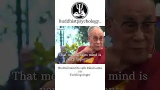 How to tackle anger by His Holiness. #buddhistpsychology #dalailama #motivation #buddha #peace