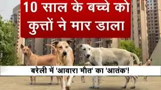 10 year-old boy dies in dog attack in Bareilly