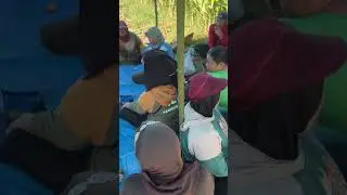 Vlog Harian Reynanta | Perayaan ulang tahun di hari panen jagung | 2026