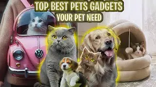 Top 15 Amazon Products Every Pet Lover Needs || Top 2025 Amazon Products