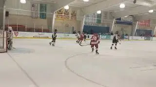 Dogs vs SCSB 51