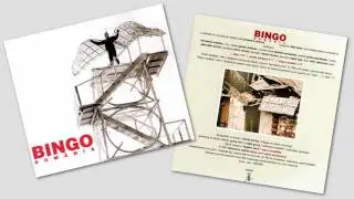 Alexandru Andrieș - Bingo Rom&acirc;nia