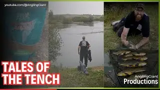 Tales Of The Tench | Tench Fishing At Hibaldstow Lakes