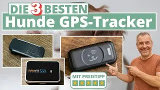 Best Dog GPS Trackers - My Top 3