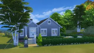 Only using peacemaker's CC/+Link/Speed Build/SIMS 4
