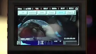 WEVA News: RED Scarlet - The Learning Curve