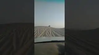 Half Day Desert Safari