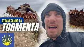 Capítulo 6 | LA SOLEDAD DEL CAMINO 🥵 Burgos - Calzadilla de la Cueza | Camino de Santiago FRANCÉS