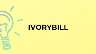 What is the meaning of the word IVORYBILL?