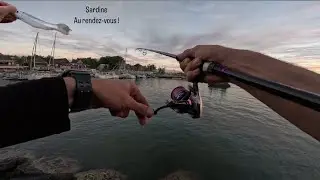 &Agrave; la Recherche des CARANGUES (PART1) - P&ecirc;che sur le Port de St Gilles &agrave; l&rsquo;&icirc;le de la R&eacute;union 