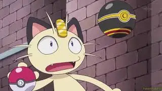 Pikachu casi atrapa al Meowth del equipo rocket en una Lujo Ball (Audio Latino)