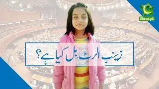 What is Zainab Alert Bill?