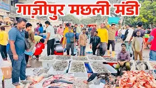 दिल्ली की सबसे बड़ी Fish Market 2025 | Biggest Wholesale Fish Market Delhi |ghazipur fish Mandi|RRRM