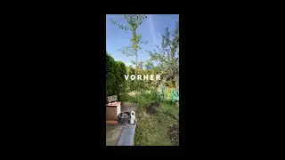 Vorher und Nachher: Beeindruckende Gartentransformation bei Wallnerrasenpflege!