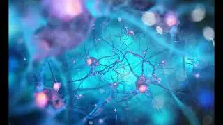Alan Backdrop - Insane World