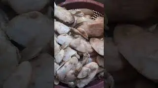 marisco