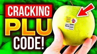 What Do Those PLU Sticker Codes on Fruits and Veggies Mean?
