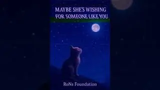 Feline Cognitive Perception MYSTERY: Is Your Cat Experiencing Awe When It Looks Up? #animalcharity