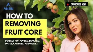 Fruit Core Removing Machine | Automatic Apple, Peach, Date & Olive Pitting Equipment