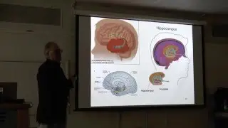 Dr Giuseppe Zappala - The California Verbal Learning Test and the frontal lobes