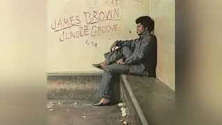 Funky Drummer (bonus beat reprise) - James Brown (1986)